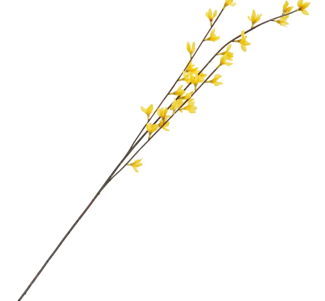 DPI Blumen|Bäume & Zweige>Forsythien Zweig