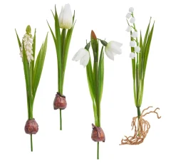 DPI Blumen>Frühjahrsblumen Mix mit Zwiebel