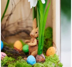 DPI Blumen>Frühjahrsblumen Mix mit Zwiebel