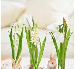 DPI Blumen><noscript><img width=
