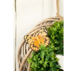 Rayher Seifen-Design|Gießformen><noscript><img width=