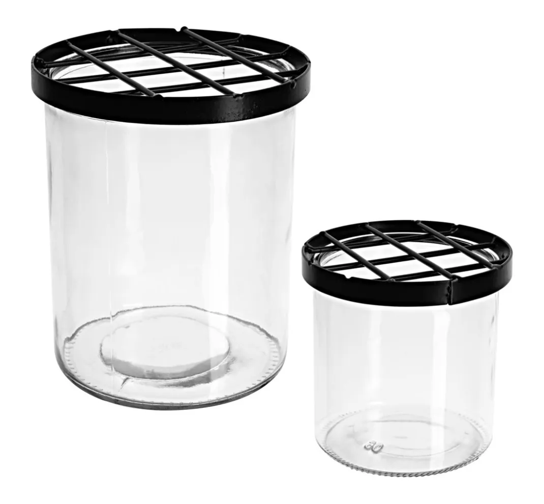 ohne Marke Gefäße|Glasgravur>Glasvase mit Steckgitter