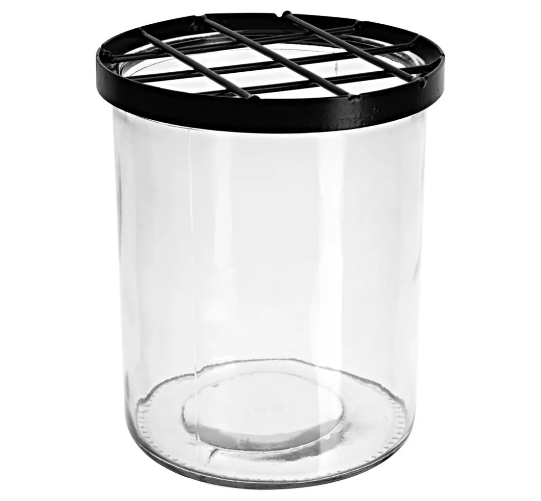 ohne Marke Gefäße|Glasgravur>Glasvase mit Steckgitter