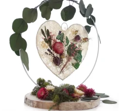 VBS Trockenblumen & - Früchte><noscript><img width=