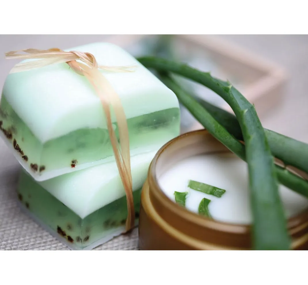 GLOREX Seifen-Design|Seifen>Glycerin Öko-Gießseife "Aloe Vera", opak