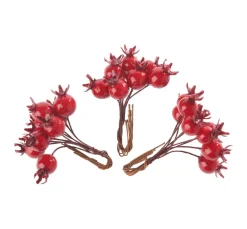 DPI Gräser & Beeren>Hagebutten-Pick, 3 Stück, L 10 cm
