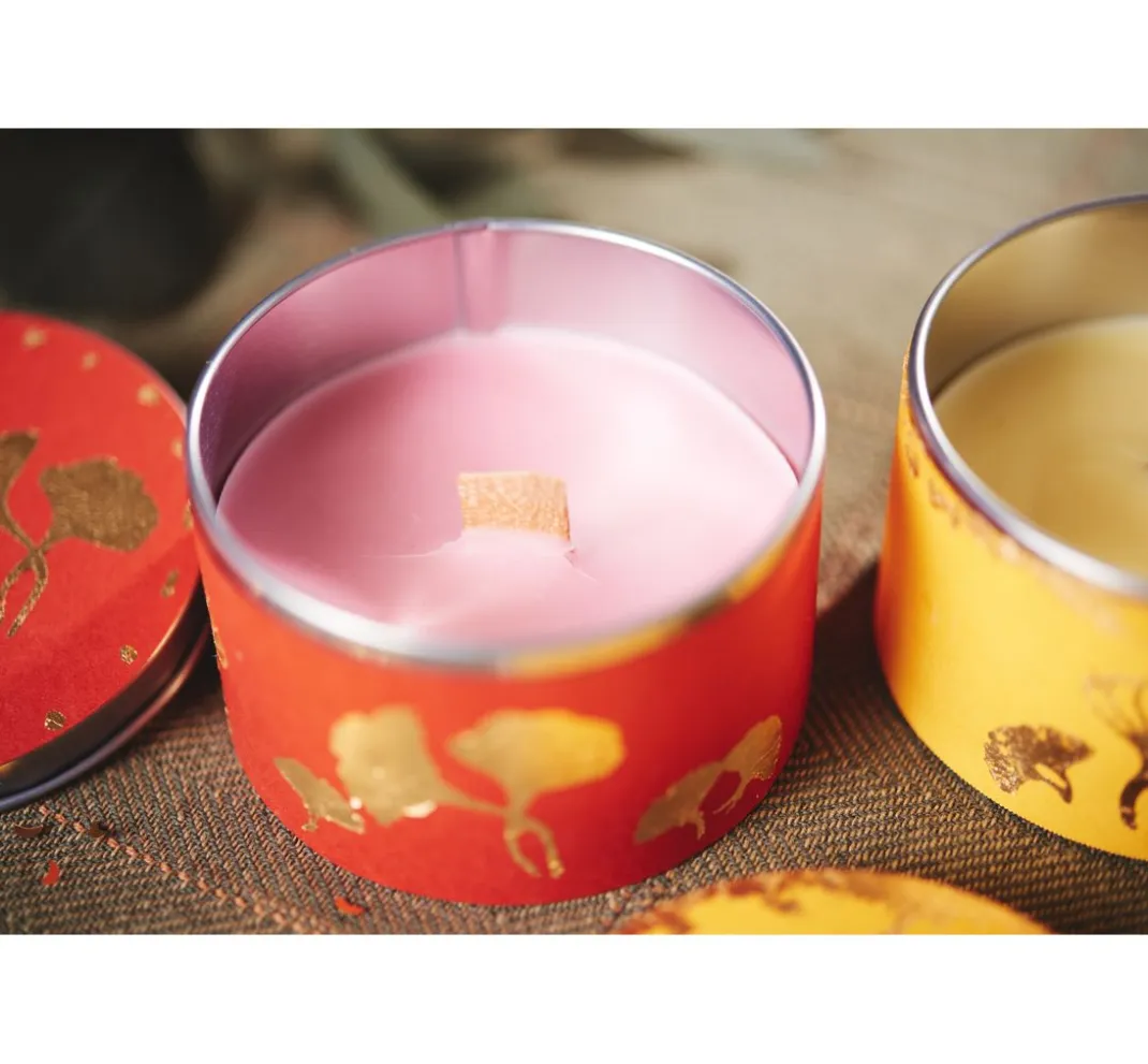 Stellwag creative Kerzen Gestalten>Holzdochte mit Halter