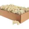 Othmar Decorations Moos|Moos>Islandmoos, 400 g