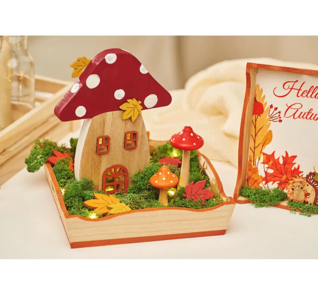 Othmar Decorations Moos|Moos>Islandmoos, 400 g