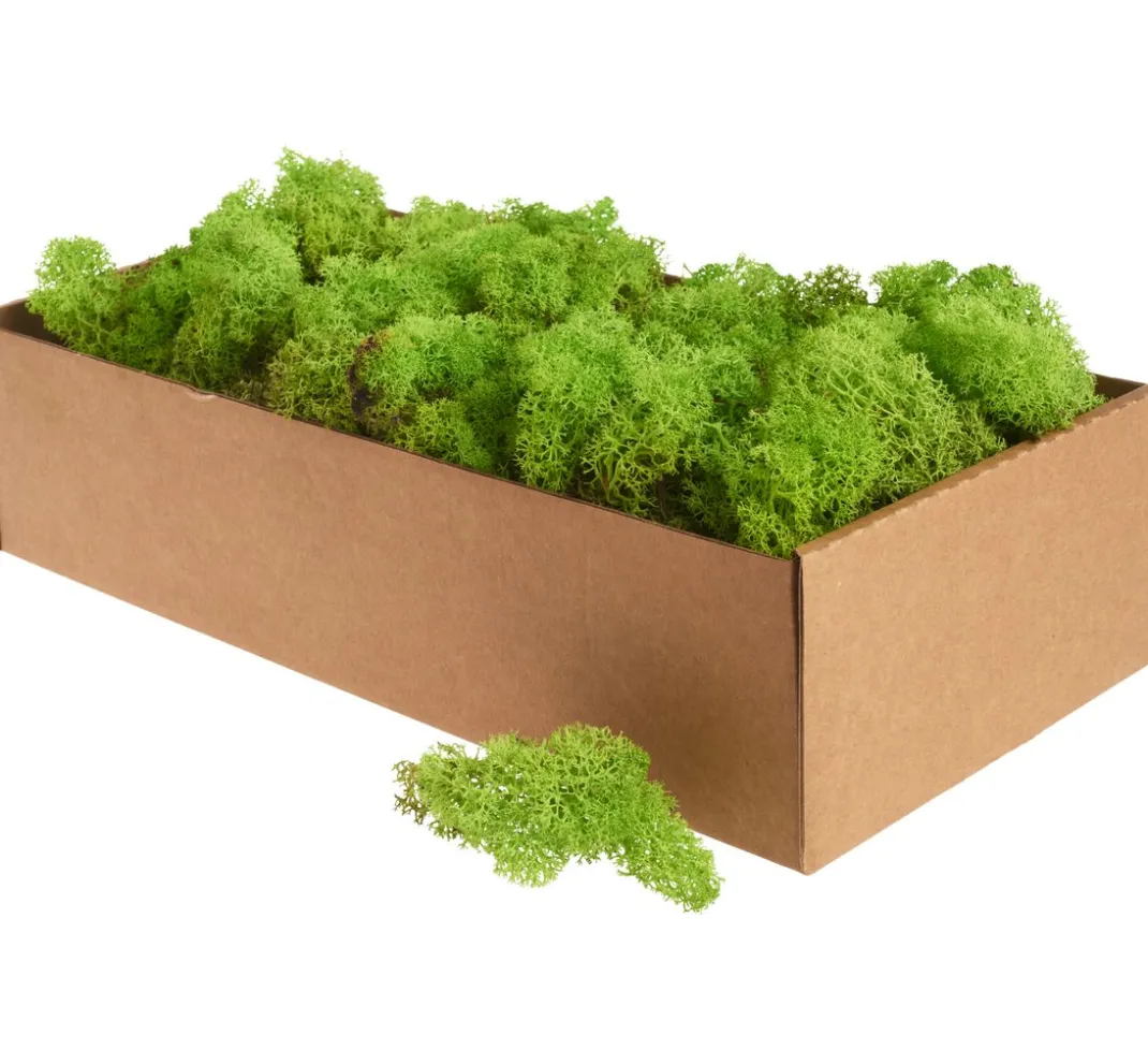 Othmar Decorations Moos|Moos>Islandmoos, 400 g