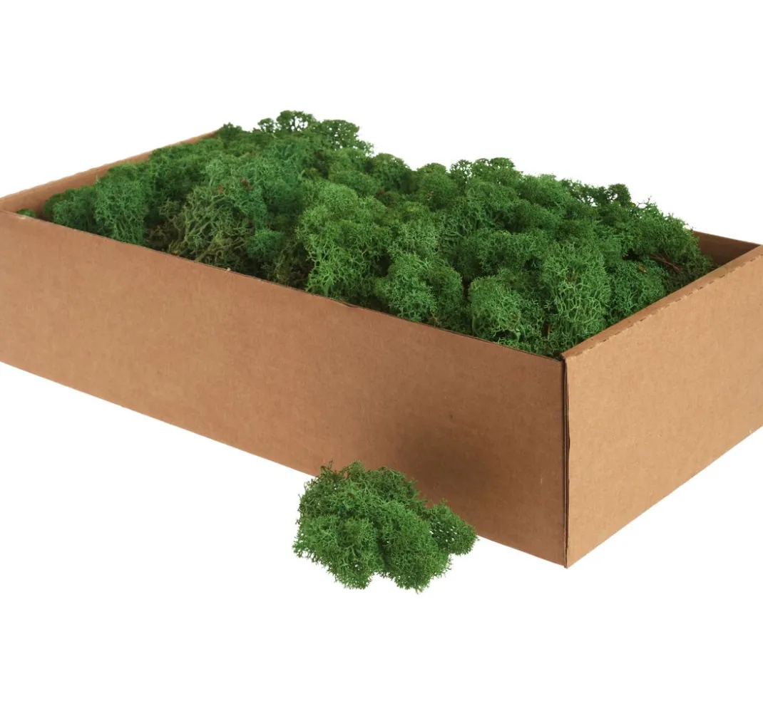 Othmar Decorations Moos|Moos>Islandmoos, 400 g