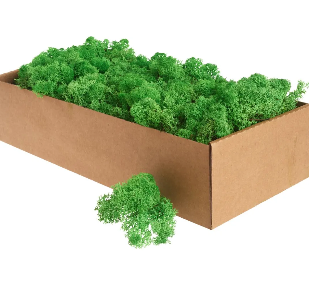 Othmar Decorations Moos|Moos>Islandmoos, 400 g