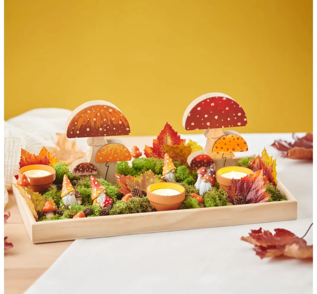 Othmar Decorations Moos|Moos>Islandmoos, 400 g