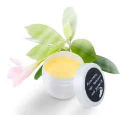 GLOREX Naturkosmetik><noscript><img width=