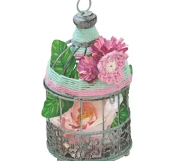 folia Sets|Kordel><noscript><img width=