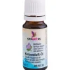 CREARTEC Kerzen Gestalten>Kerzenduft-Öl, 10 ml