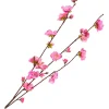 DPI Blumen>Kirschblüten Zweig