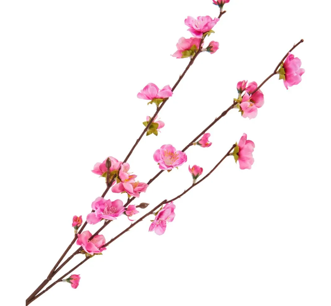 DPI Blumen>Kirschblüten Zweig