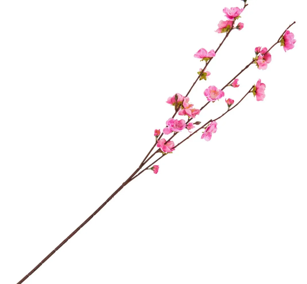 DPI Blumen>Kirschblüten Zweig