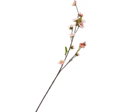 DPI Blumen|Bäume & Zweige>Kirschblüten-Zweig "Peach"