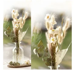 VBS Trockenblumen & - Früchte><noscript><img width=