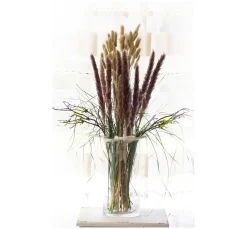 VBS Trockenblumen & - Früchte><noscript><img width=
