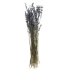 VBS Trockenblumen & - Früchte>Lavendel natur blau