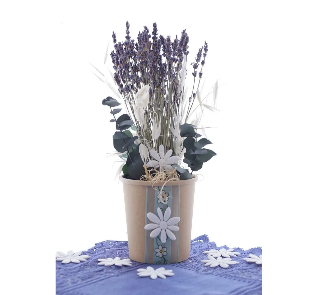 VBS Trockenblumen & - Früchte>Lavendel natur blau