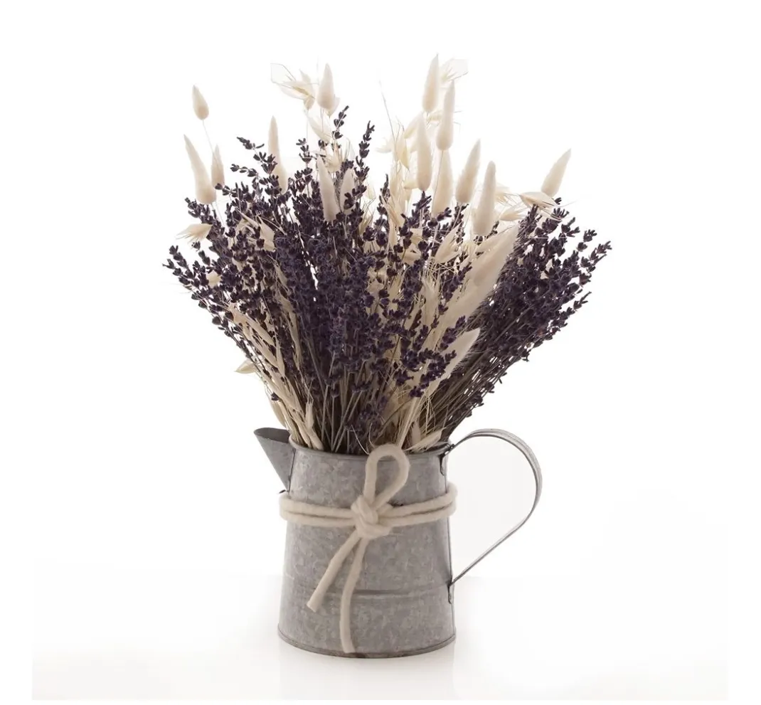 VBS Trockenblumen & - Früchte>Lavendel natur blau