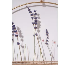 VBS Trockenblumen & - Früchte><noscript><img width=