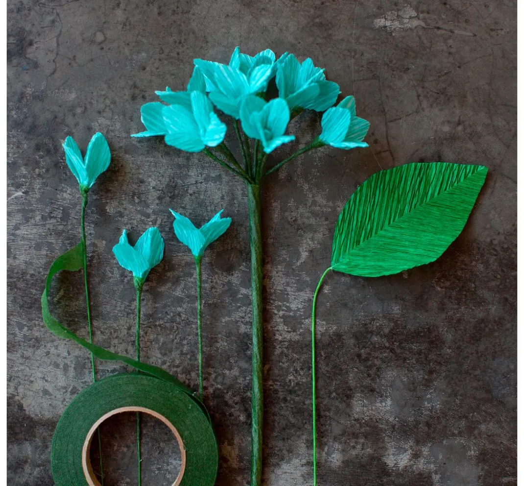 Kinder Werola Krepppapier|Papier>Lia Griffith, Floristenkrepp "Botanical Garden"