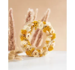 ohne Marke Trockenblumen & - Früchte><noscript><img width=