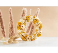 ohne Marke Trockenblumen & - Früchte><noscript><img width=