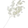 DPI Bäume & Zweige>Lunaria Zweig mit Glitzer