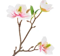 DPI Blumen>Magnolien-Pick mit 3 Blüten