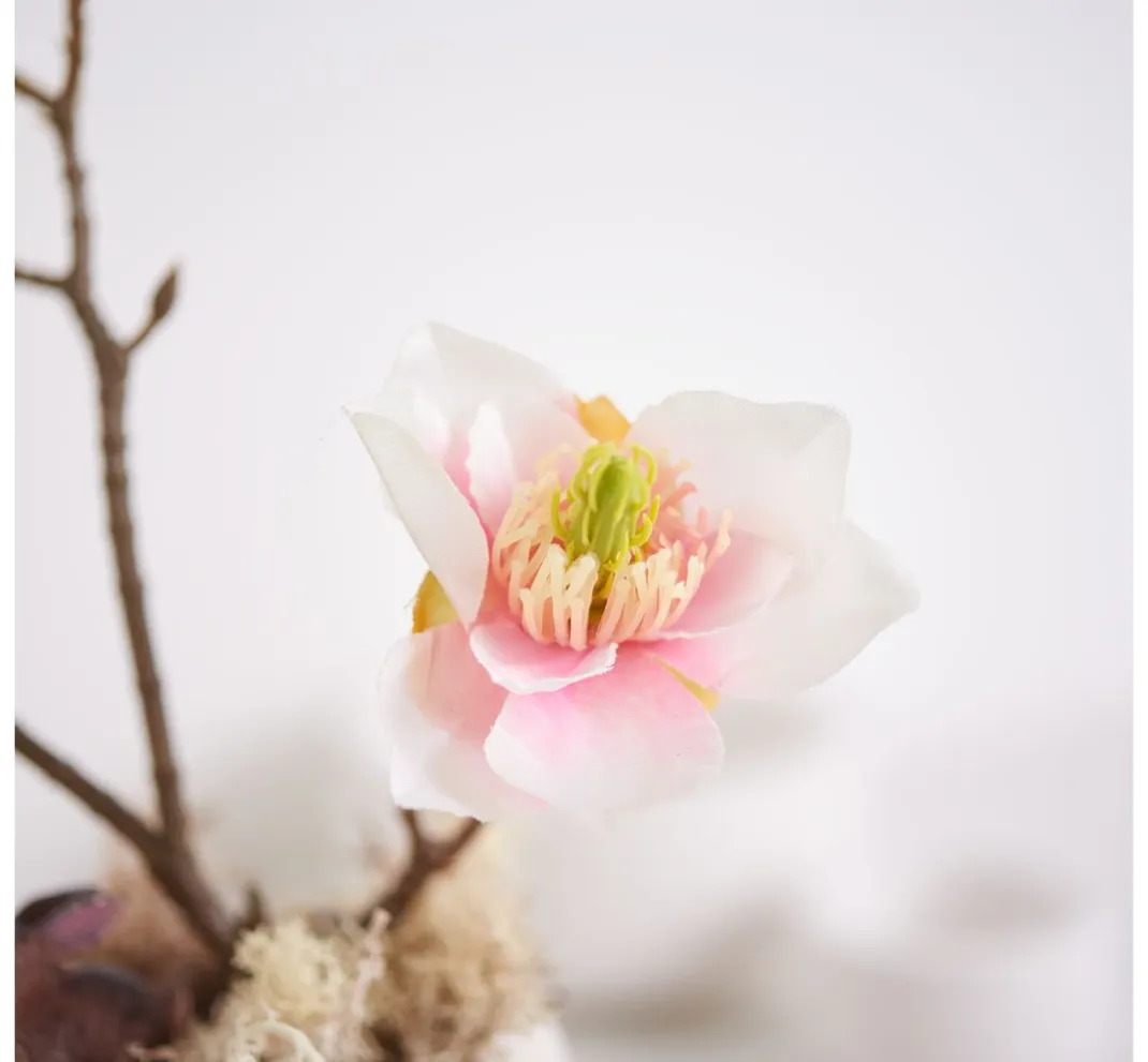 DPI Blumen>Magnolien-Pick mit 3 Blüten