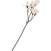 DPI Blumen>Magnolien-Pick mit 6 Blüten