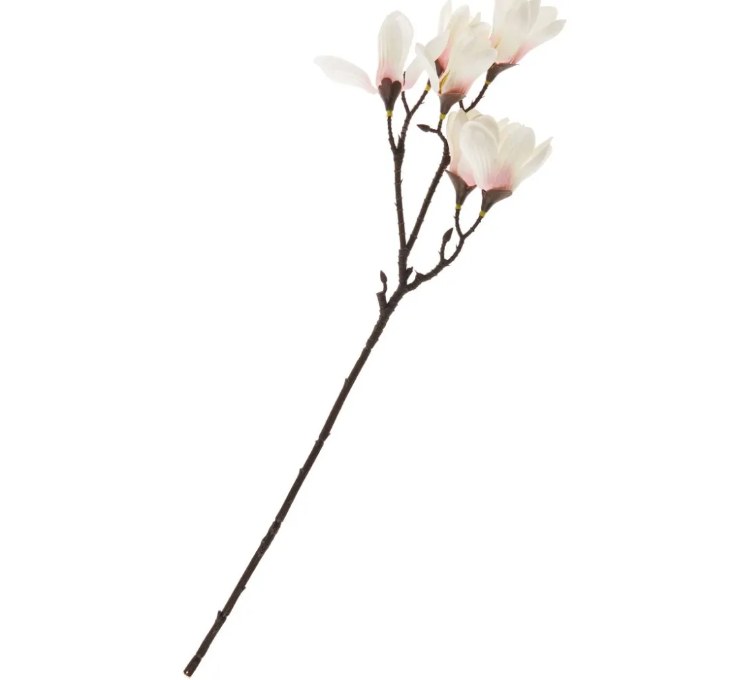 DPI Blumen>Magnolien-Pick mit 6 Blüten