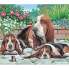 Kinder Mammut Malsets|Malen Nach Zahlen>Malen nach Zahlen "Bassethunde"