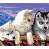 Kinder Mammut Malen Nach Zahlen|Malsets>Malen nach Zahlen "Huskies"