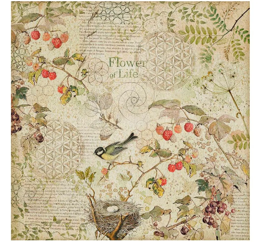 Stamperia Farb- & Motivblöcke|Scrapbooking>Maxi Scrapbook-Block "Forest"