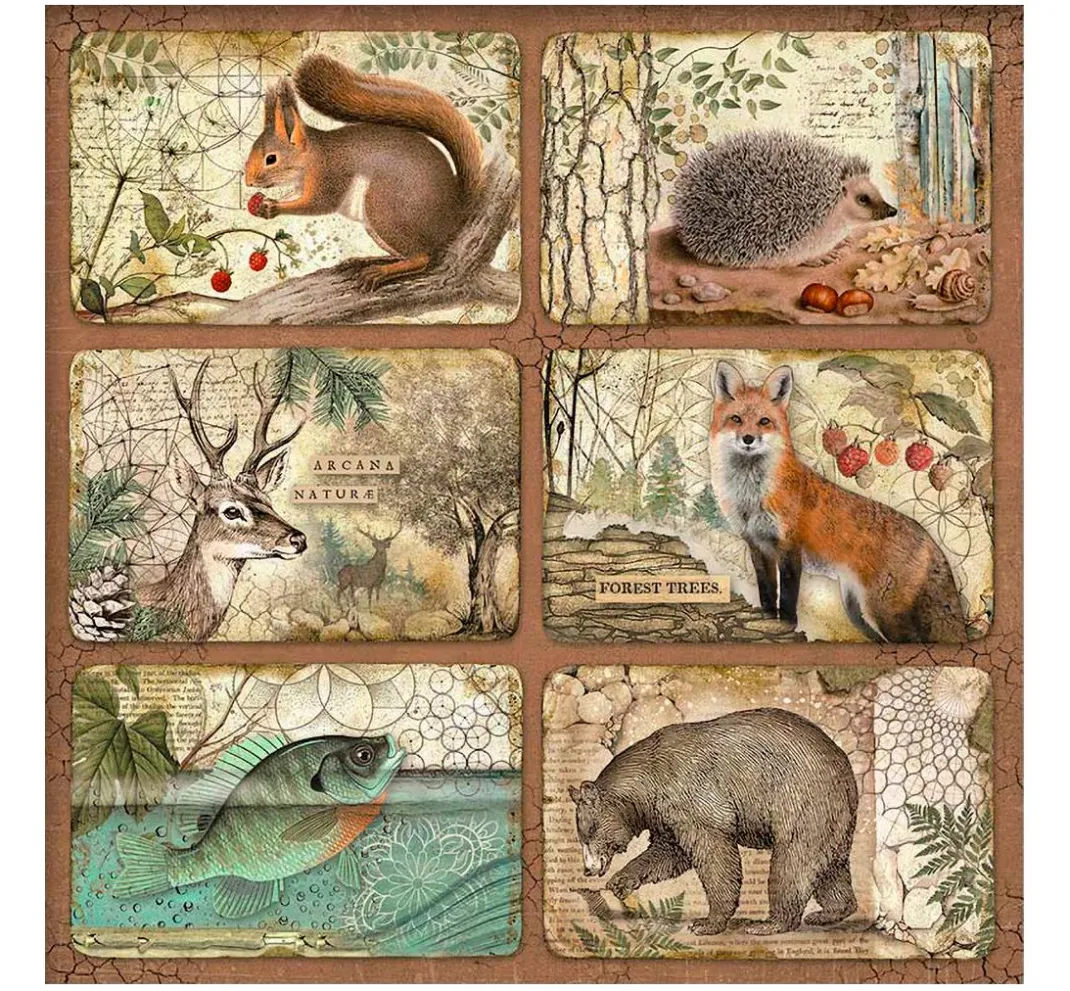 Stamperia Farb- & Motivblöcke|Scrapbooking>Maxi Scrapbook-Block "Forest"
