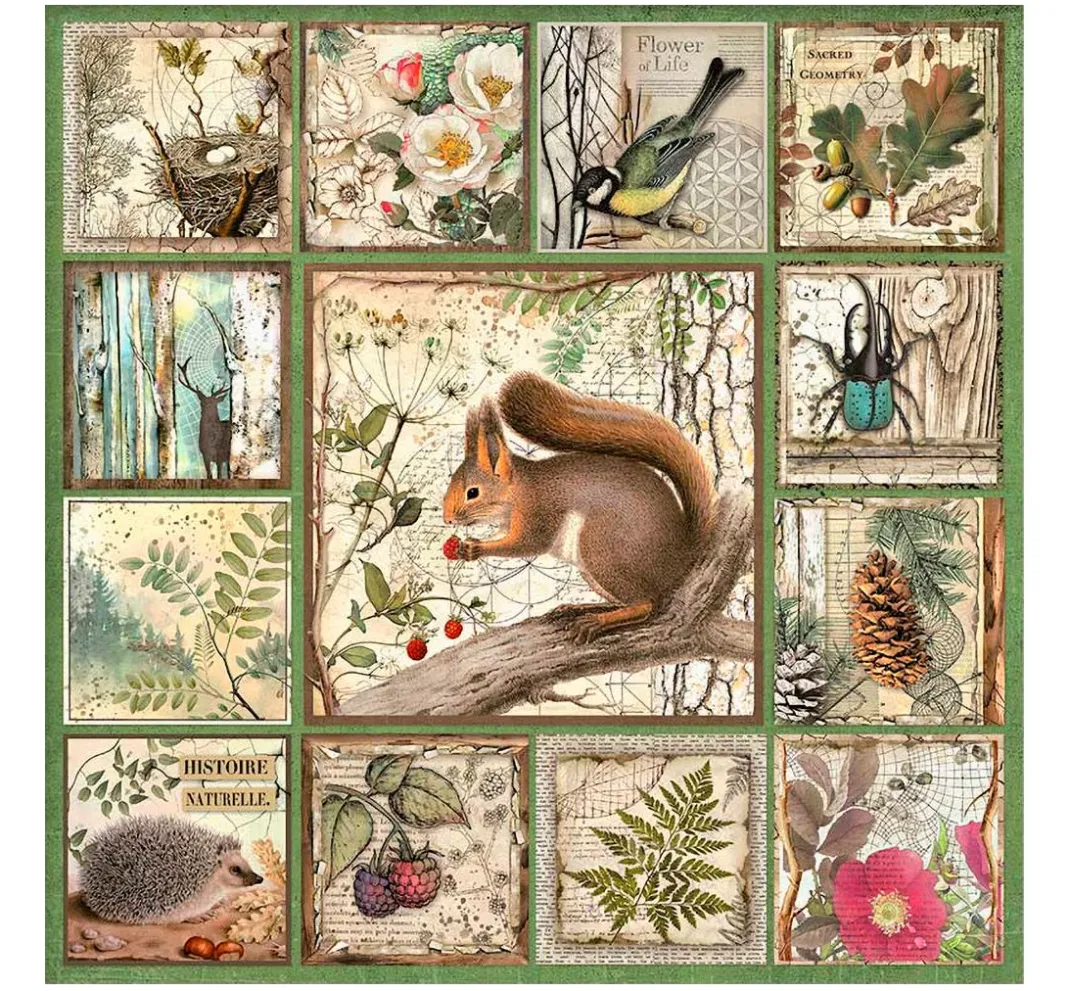 Stamperia Farb- & Motivblöcke|Scrapbooking>Maxi Scrapbook-Block "Forest"
