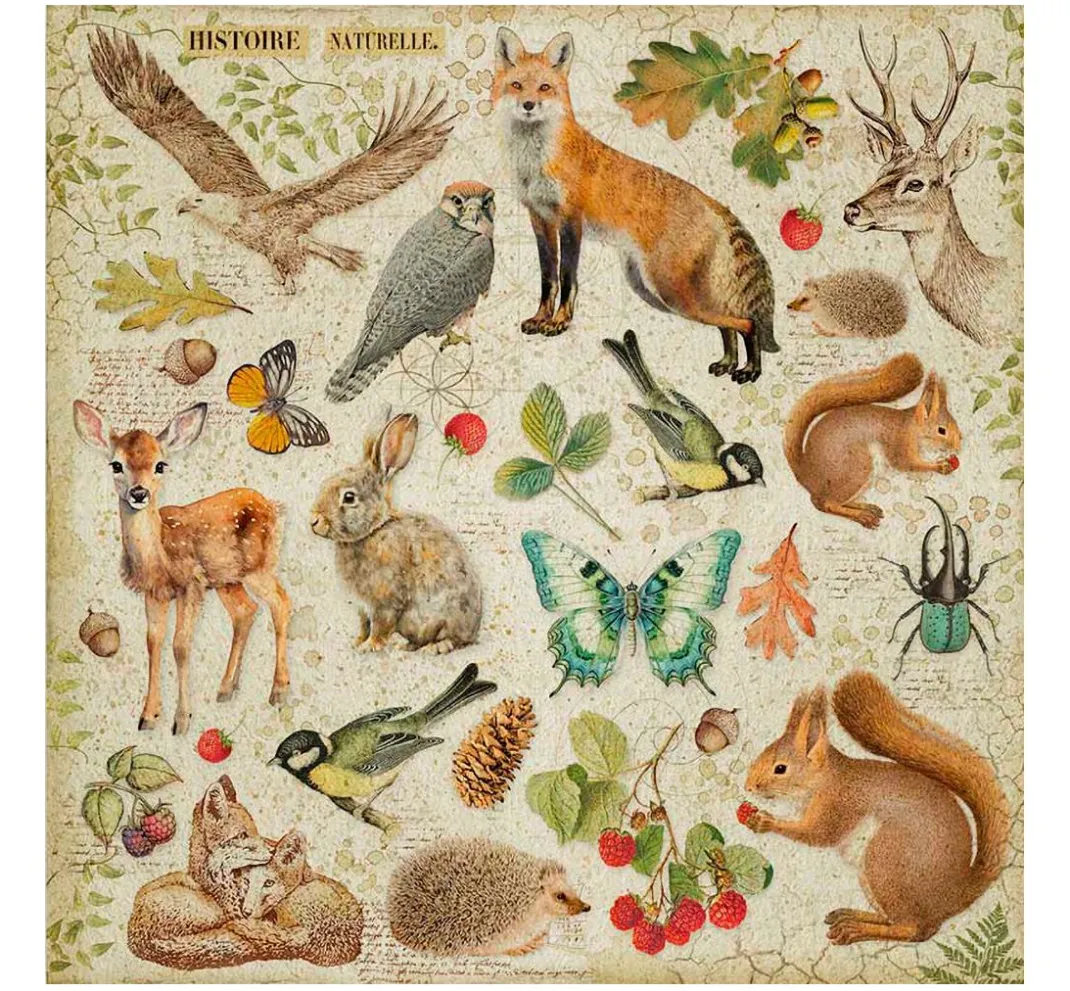 Stamperia Farb- & Motivblöcke|Scrapbooking>Maxi Scrapbook-Block "Forest"