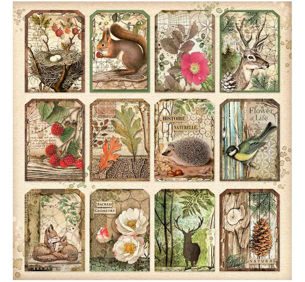 Stamperia Farb- & Motivblöcke|Scrapbooking>Maxi Scrapbook-Block "Forest"