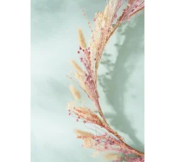 HobbyFun Trockenblumen & - Früchte|Diverse Materialien><noscript><img width=