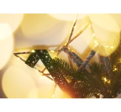 ohne Marke Diverse Materialien|Metallringe><noscript><img width=