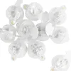 HobbyFun Led-Kerzen & Led-Teelichte>Mini-LED Leuchtkugeln
