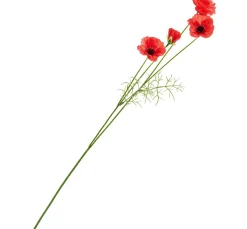 DPI Blumen>Mohn-Pick mit 4 Blüten