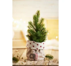 VBS Marktplatz Stoff Meterware|Weihnachtsstoffe><noscript><img width=